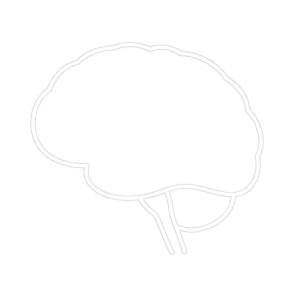 Brain outline